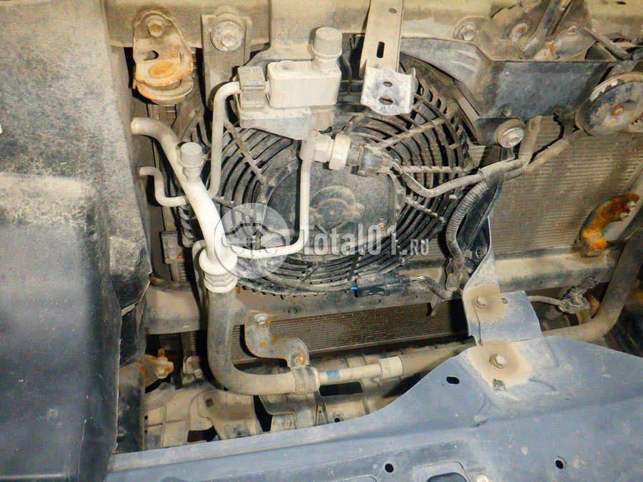 Фото Toyota Land Cruiser Prado 248