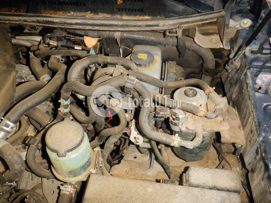 Фото Toyota Land Cruiser Prado 252