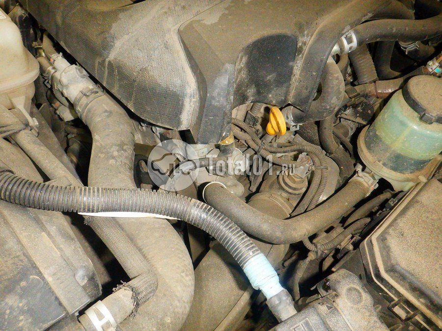 Фото Toyota Land Cruiser Prado 256