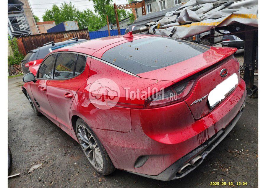Фото KIA Stinger 2