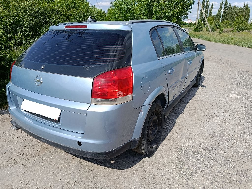 Фото Opel Signum 6