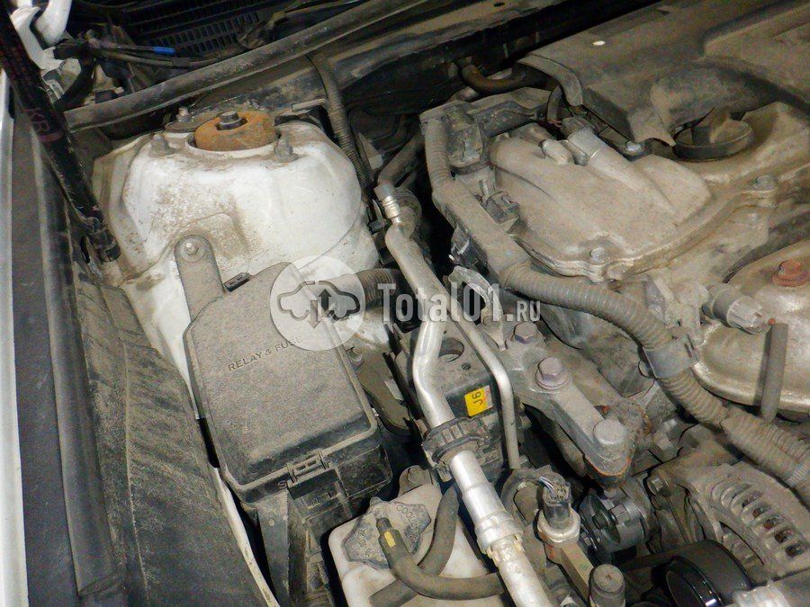 Фото Toyota Camry 256