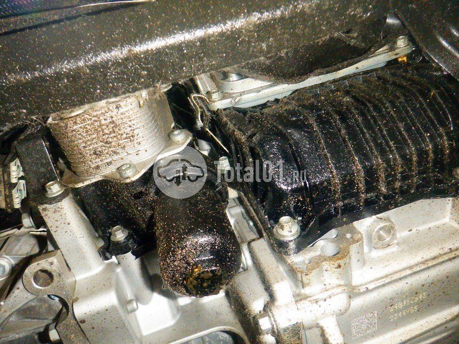 Фото Haval H3 284