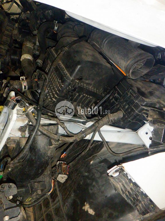 Фото KIA cee\'d 102