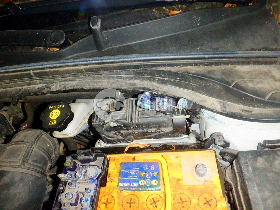 Фото KIA cee\'d 116
