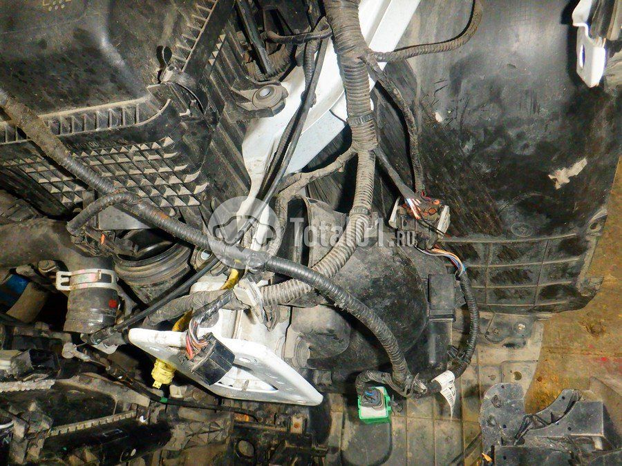 Фото KIA cee\'d 122