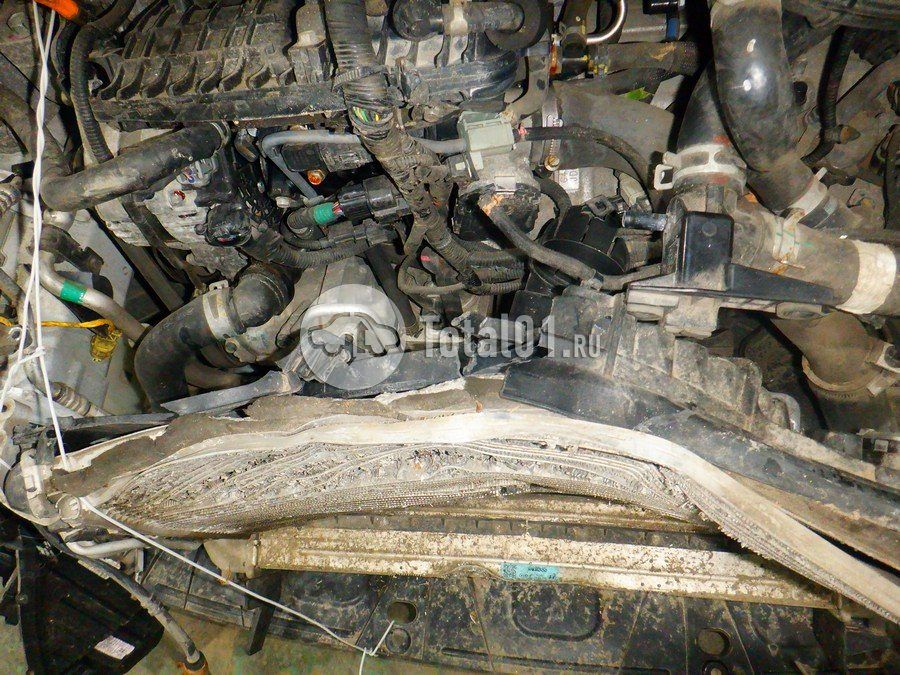 Фото KIA cee\'d 140