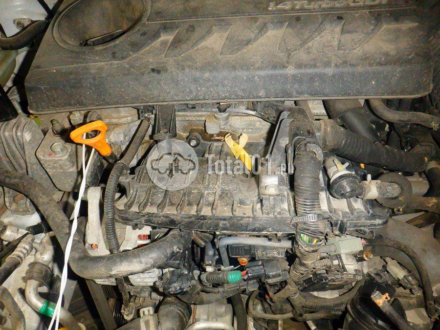 Фото KIA cee\'d 146