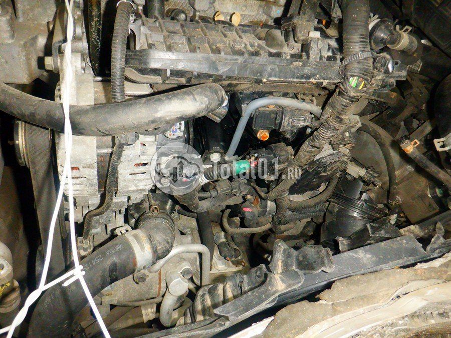 Фото KIA cee\'d 184