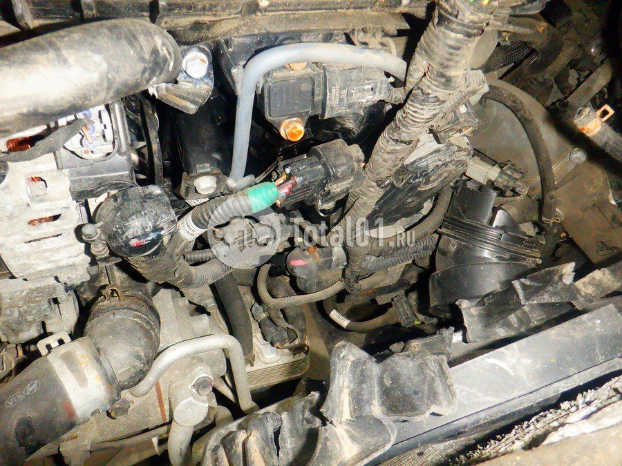 Фото KIA cee\'d 186