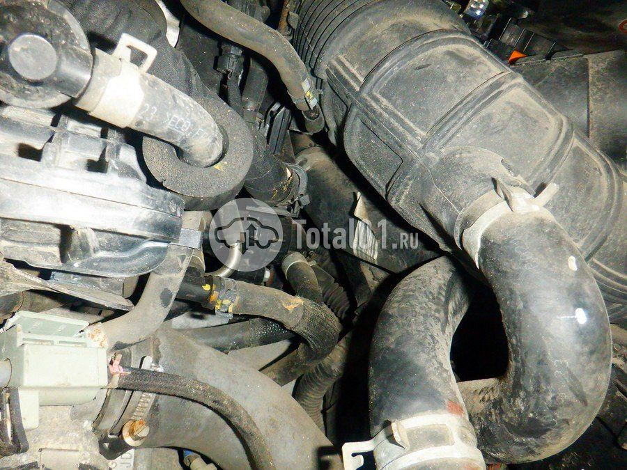 Фото KIA cee\'d 202