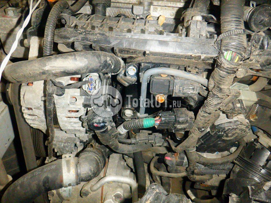 Фото KIA cee\'d 204