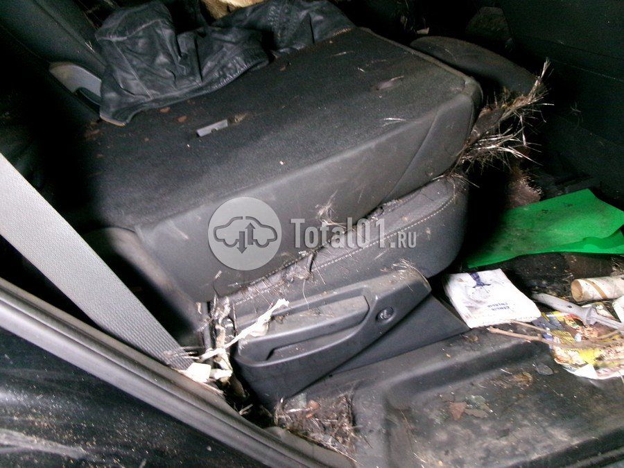 Фото Nissan Pathfinder 66