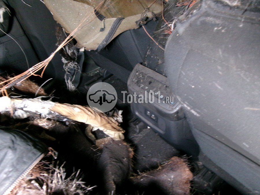 Фото Nissan Pathfinder 78