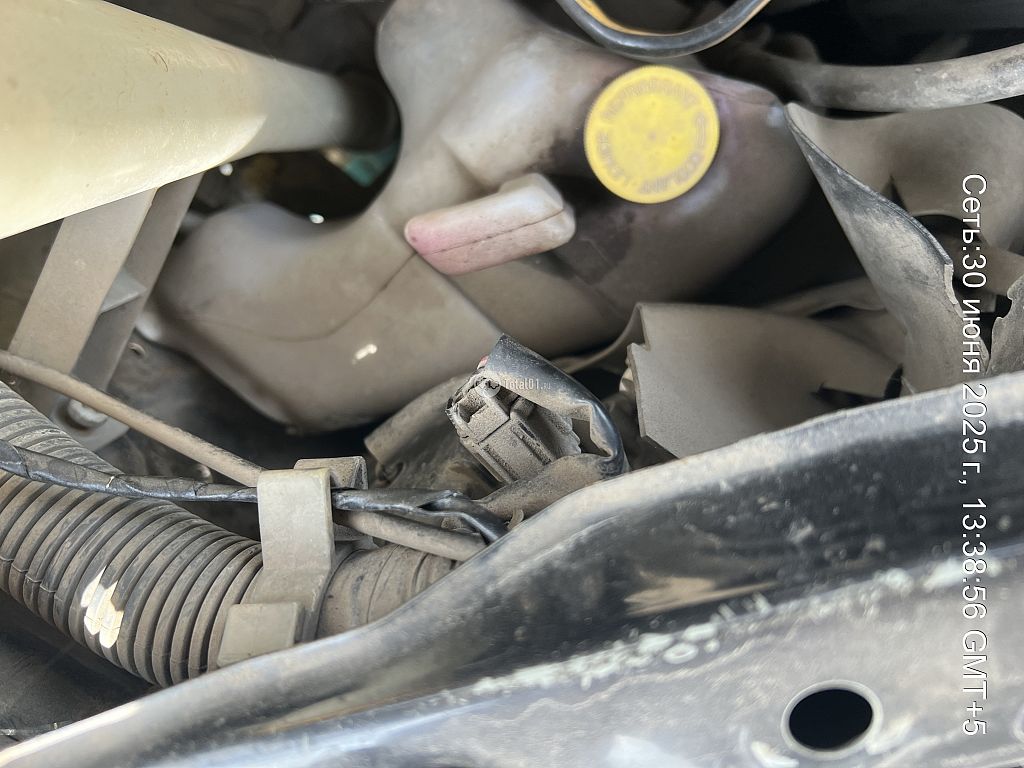 Фото Nissan Presage 154