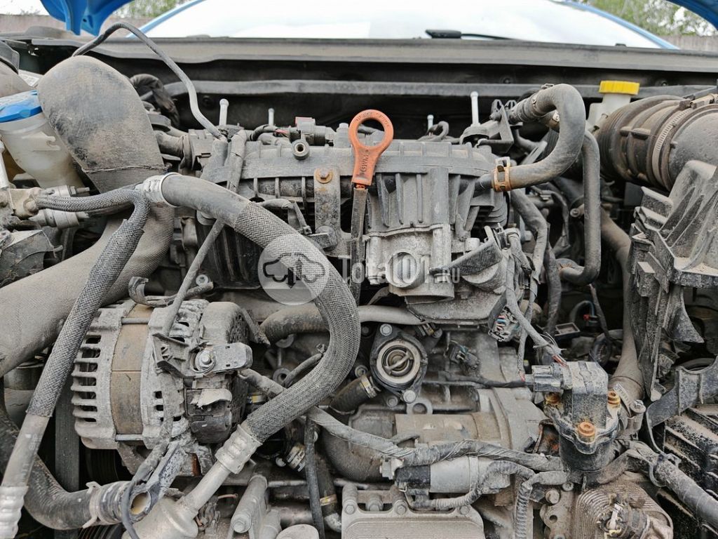 Фото Haval Jolion 76