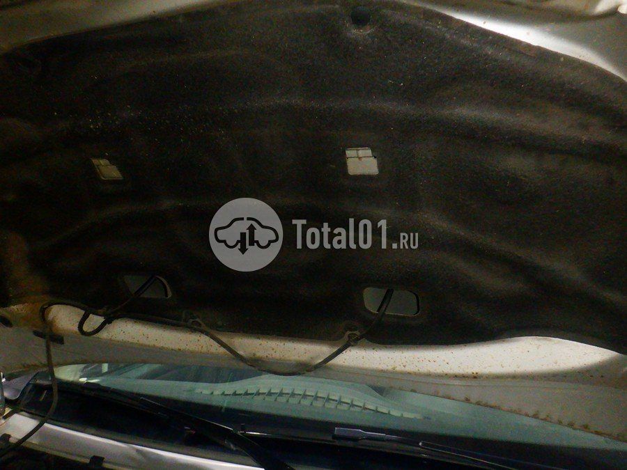 Фото Nissan Terrano 218