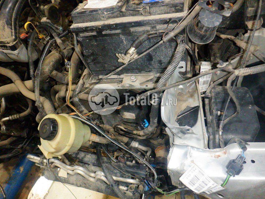 Фото Nissan Terrano 228
