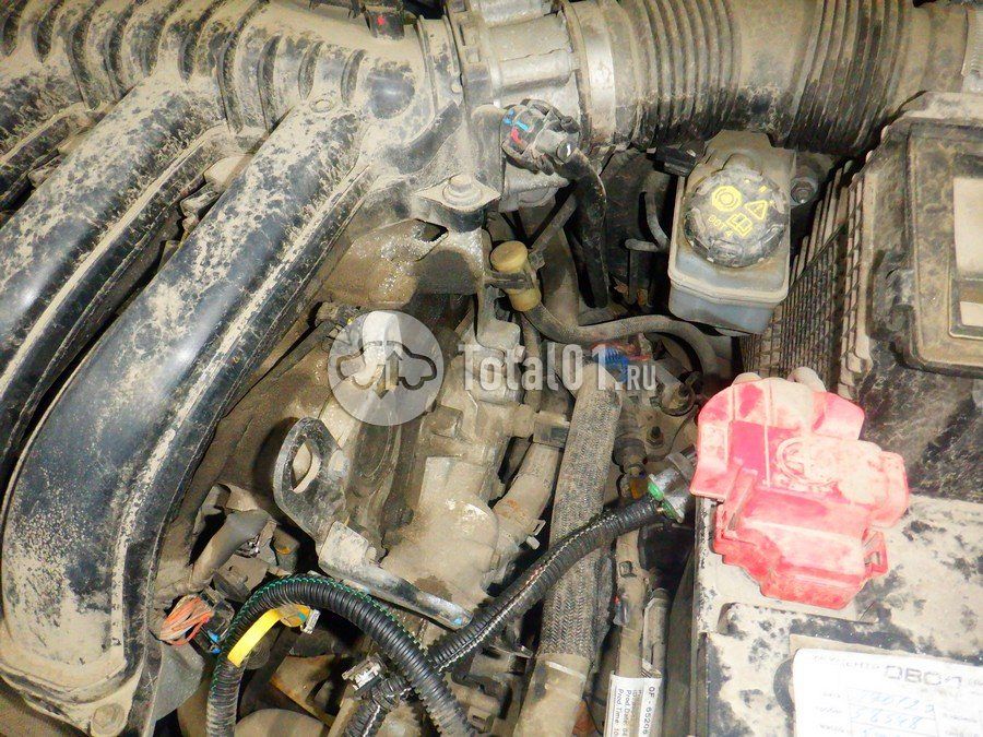 Фото Nissan Terrano 238