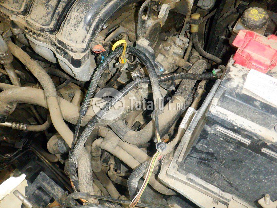 Фото Nissan Terrano 240
