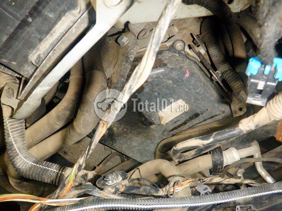 Фото Nissan Terrano 244