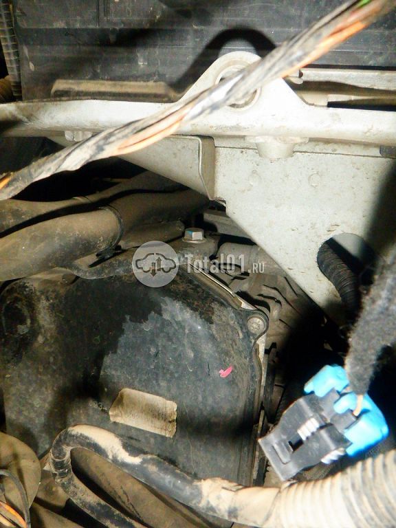 Фото Nissan Terrano 246