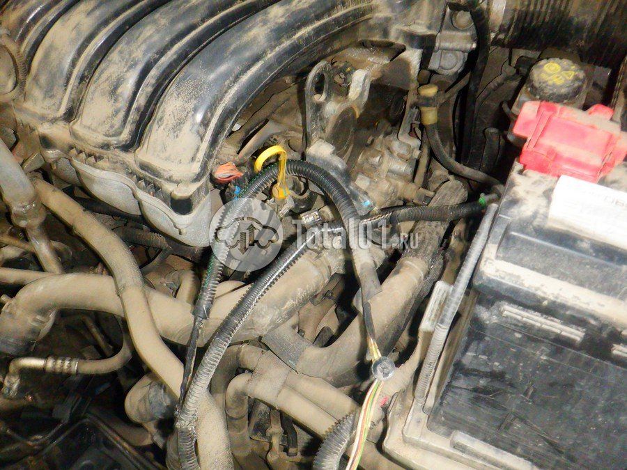 Фото Nissan Terrano 252
