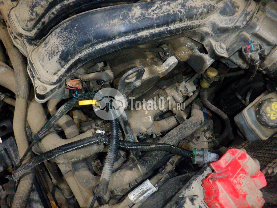 Фото Nissan Terrano 256