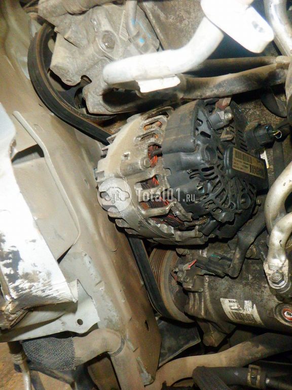 Фото Nissan Terrano 264