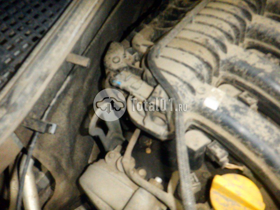 Фото Nissan Terrano 276