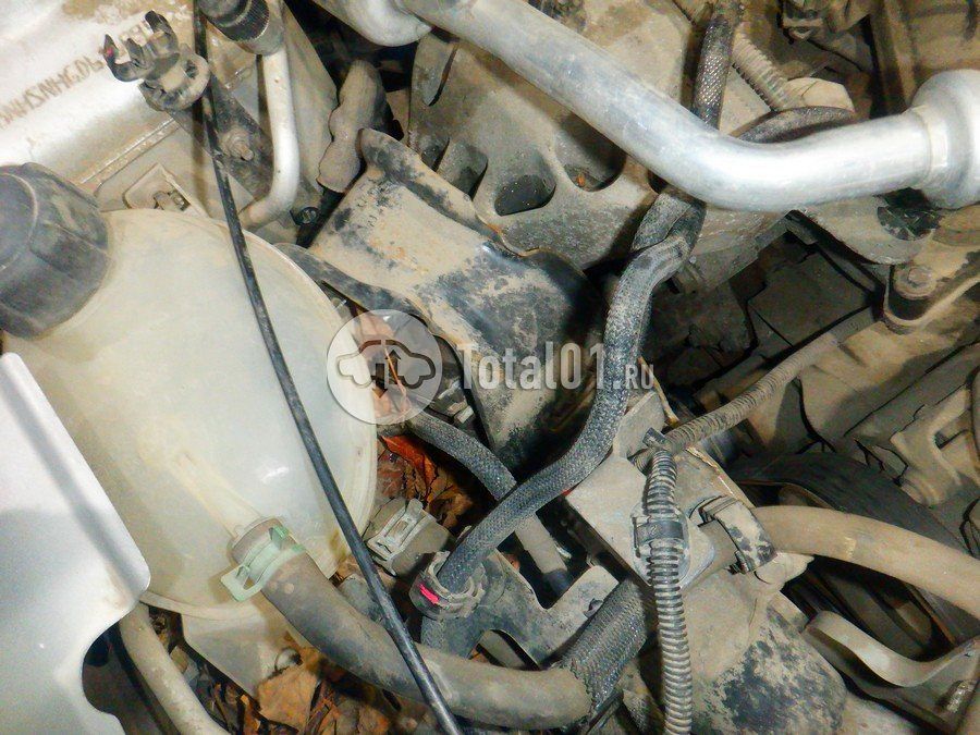 Фото Nissan Terrano 278