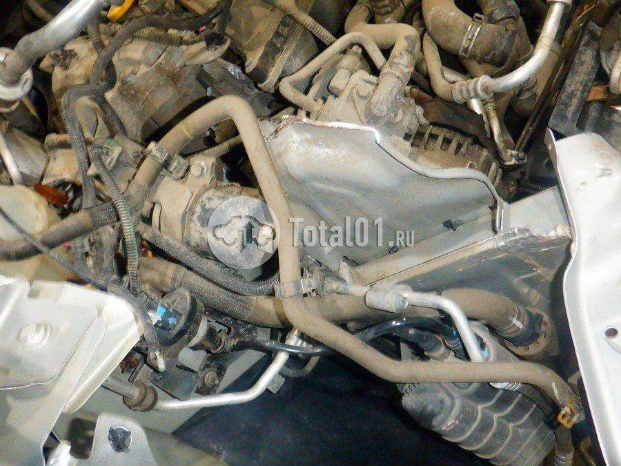 Фото Nissan Terrano 284