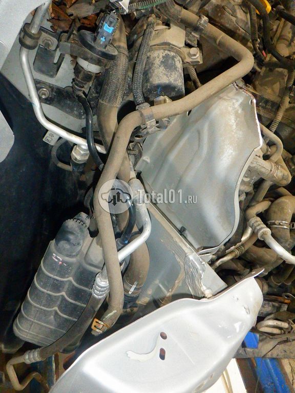 Фото Nissan Terrano 288