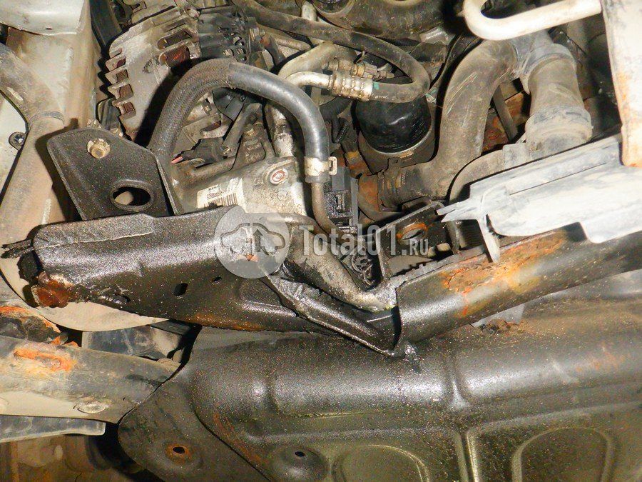 Фото Nissan Terrano 318