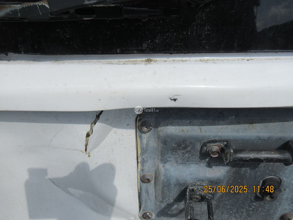 Фото Nissan Rasheen 76