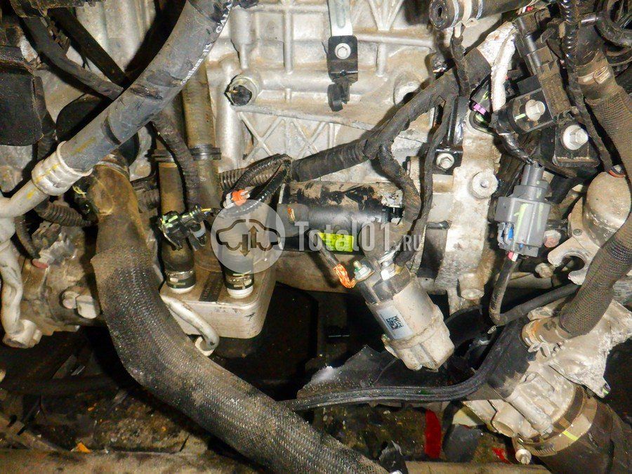 Фото Haval H6 384