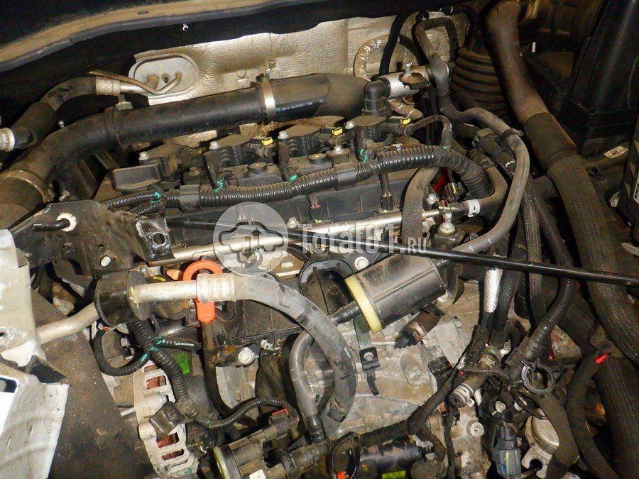 Фото Haval H6 434