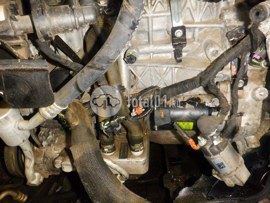 Фото Haval H6 446