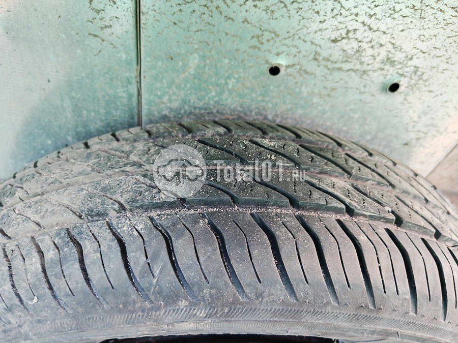 Фото TMDUP другая 42