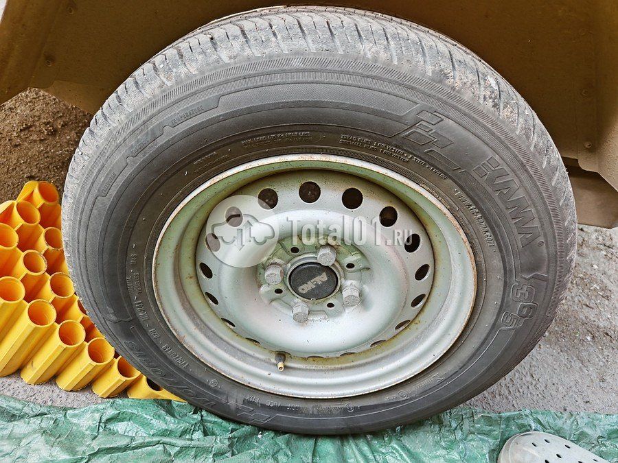Фото TMDUP другая 44