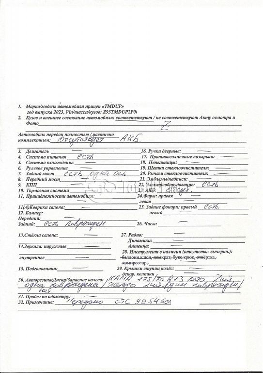 Фото TMDUP другая 50