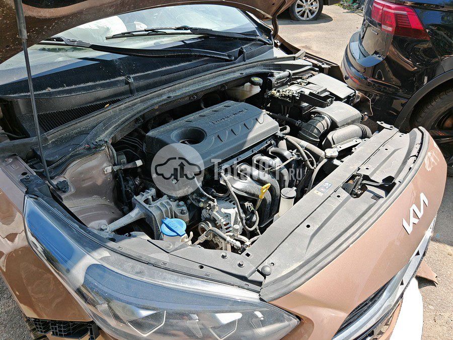 Фото KIA cee\'d 80