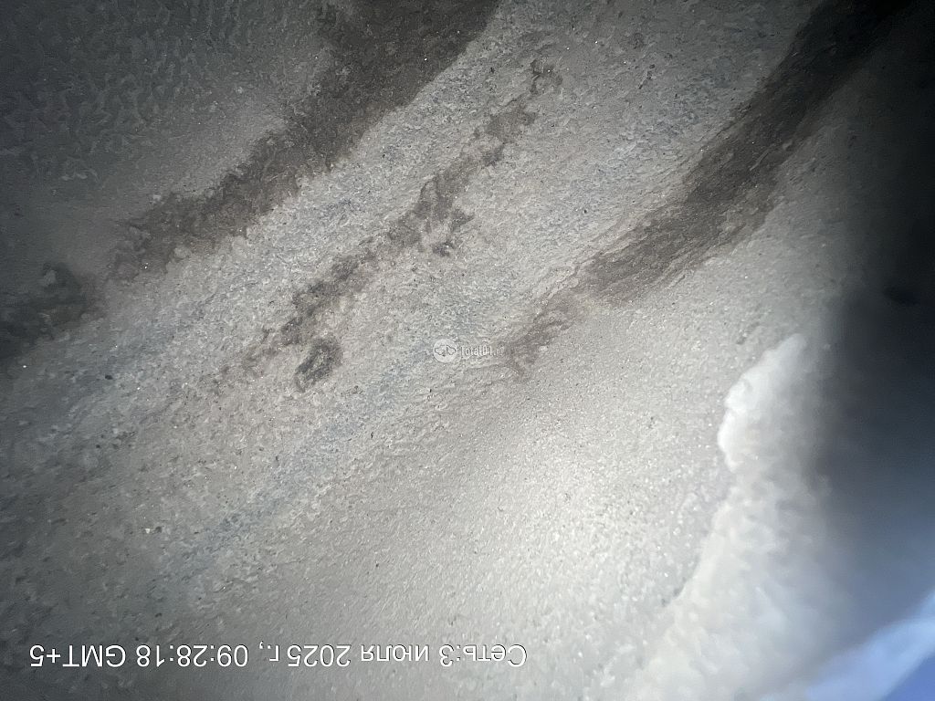 Фото Opel Signum 104