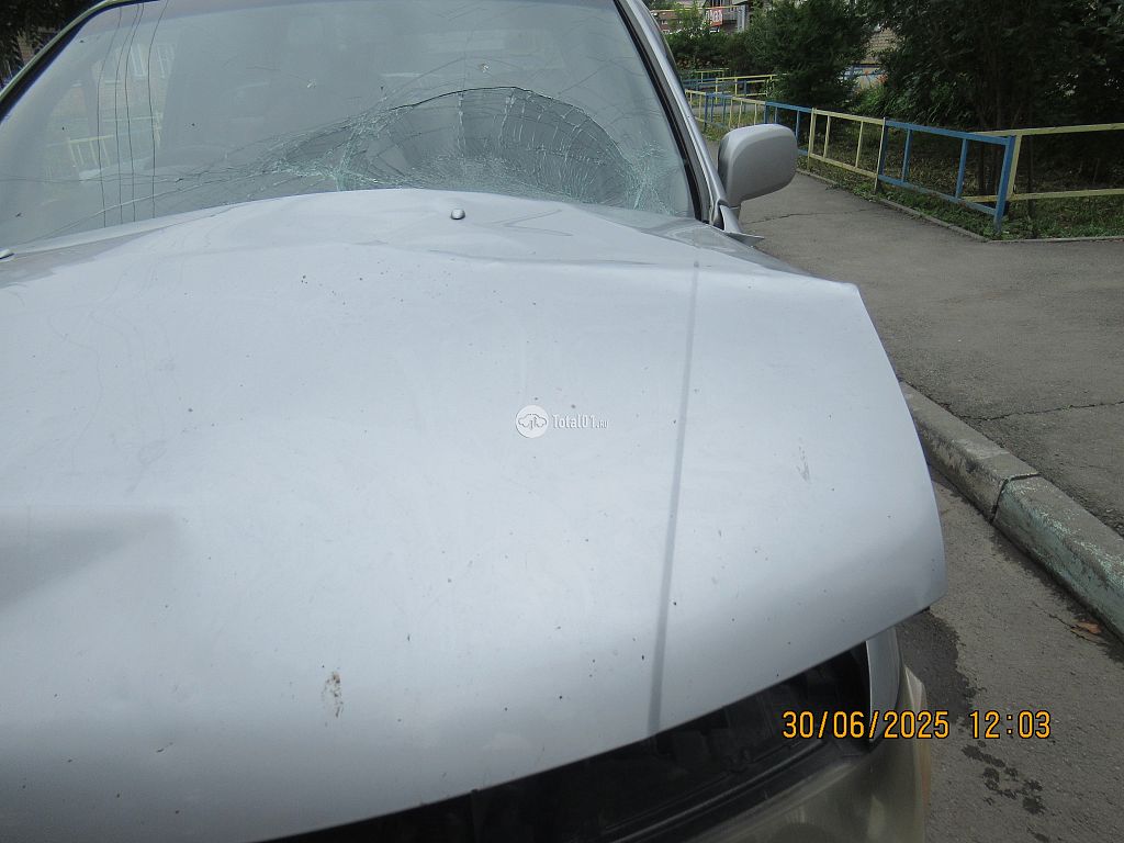 Фото Nissan Bassara 56