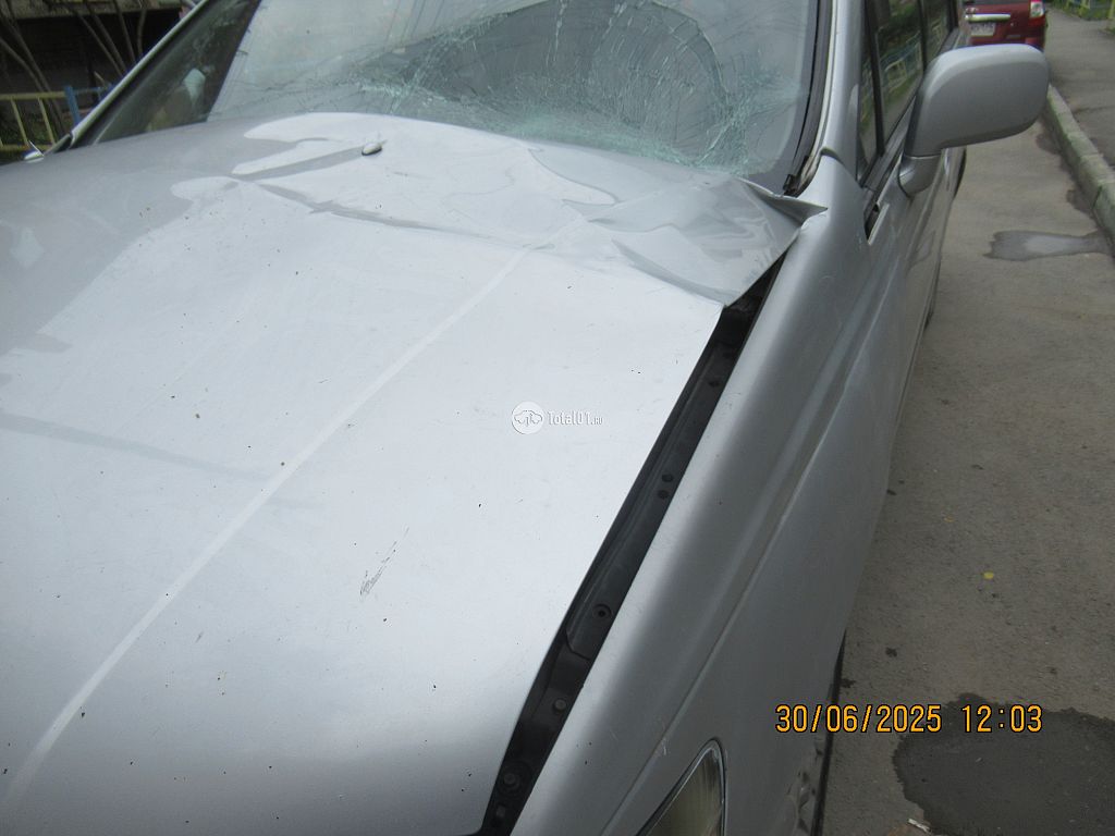 Фото Nissan Bassara 58