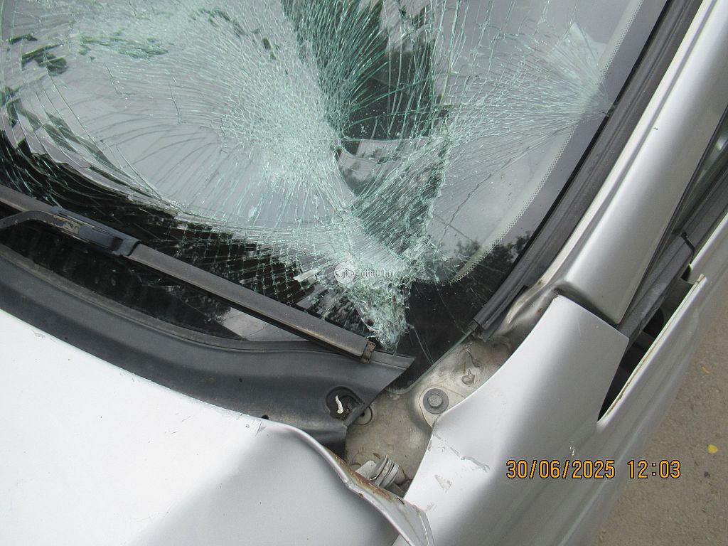 Фото Nissan Bassara 66