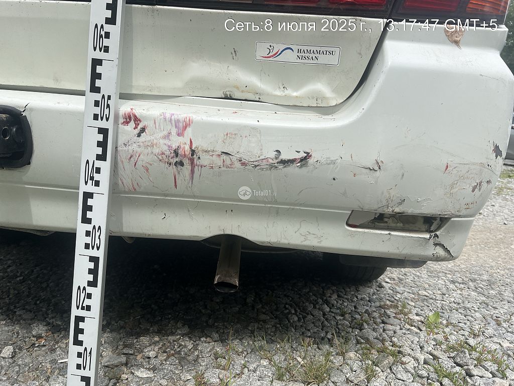 Фото Nissan Bassara 20