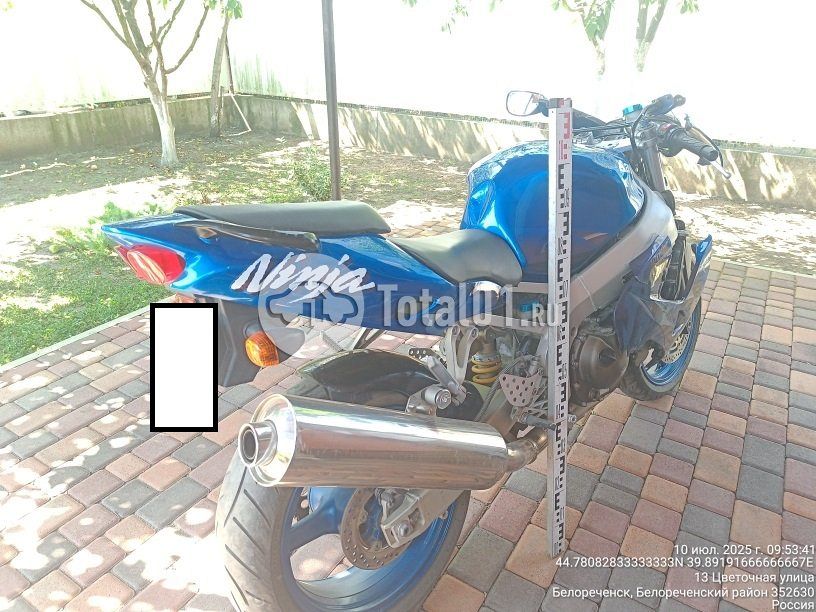 Фото Kawasaki Ninja 250R 8