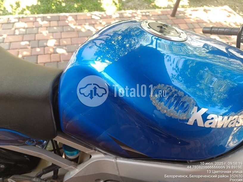 Фото Kawasaki Ninja 250R 32
