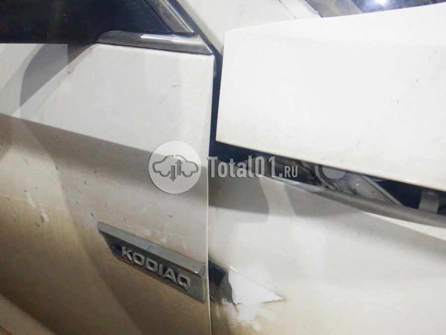 Фото Skoda Kodiaq 120